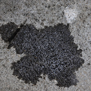 Remove Oil Stains from Concrete