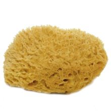 Armaly Brands ProPlus® 7"‑8" Natural Sea Wool Sponge