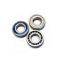 Castex/Nobles/Boss Brush Bearing Seal (100049)