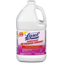 Professional Lysol® Brand Antibacterial All Purpose Cleaner Concentrate (4 GL)