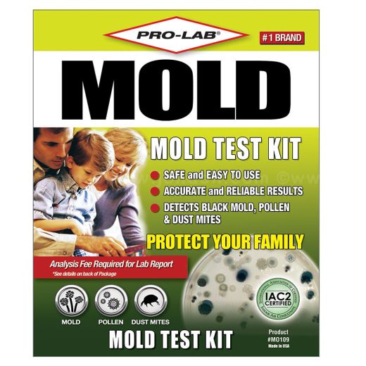 home black mold test kit