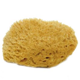 The Natural SW#1-6070C Sea Wool Sponge, 6 to 7 in L, Gold